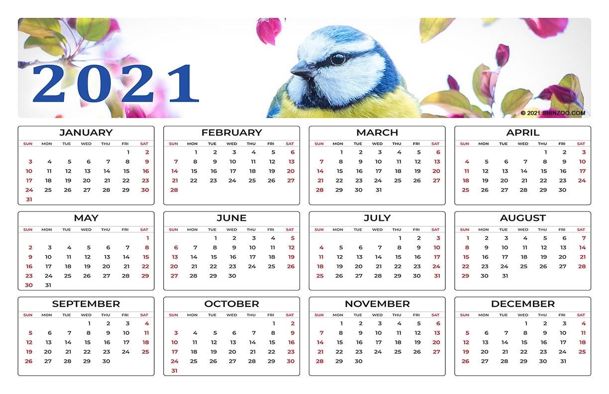 Catch 11X17 Printable Calendar 2021