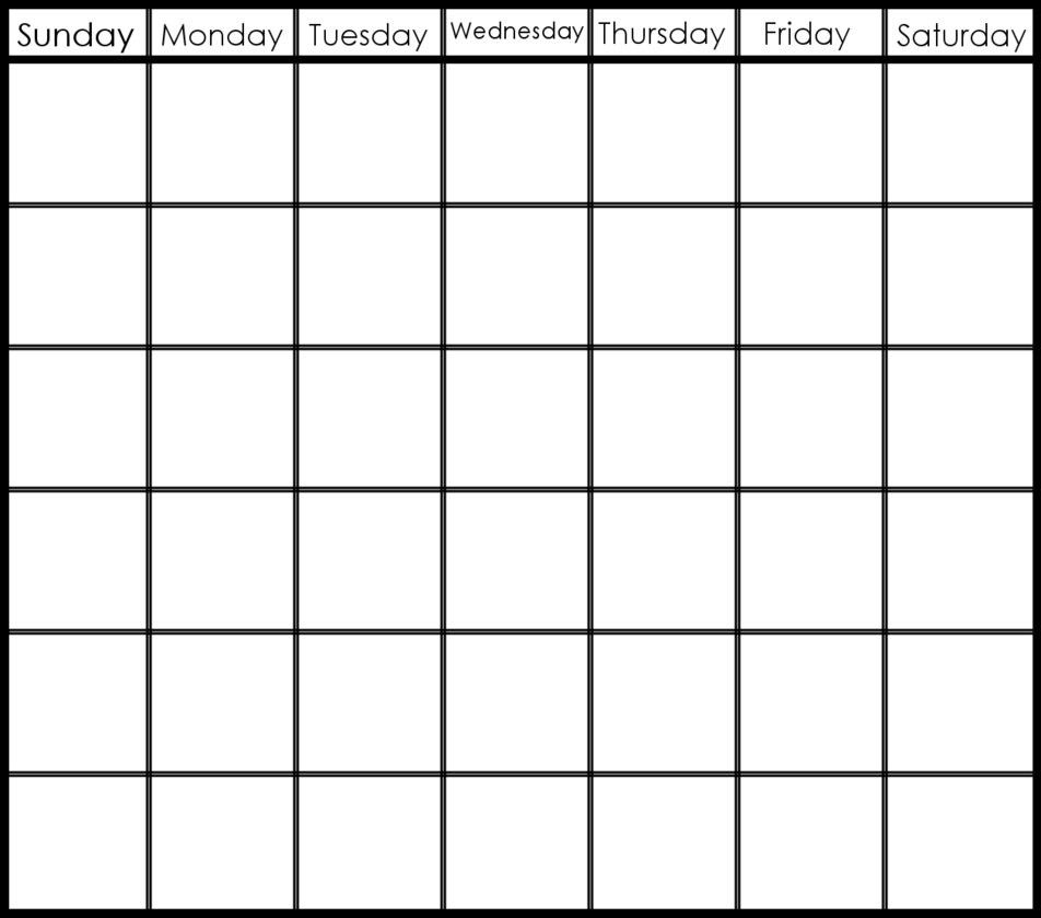 Catch 6 Week Blank Schedule