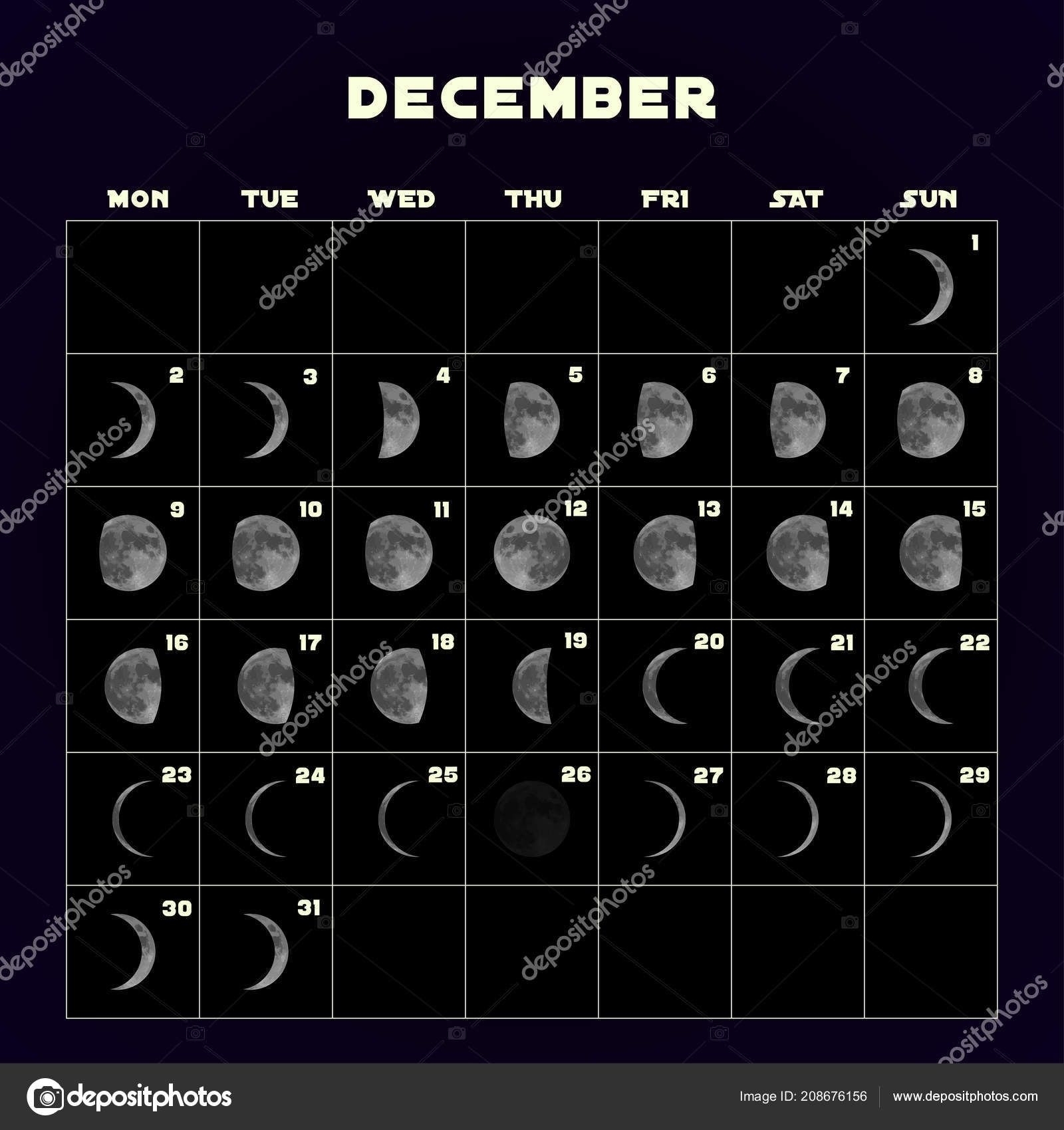 Catch December 2021 Moon Phase