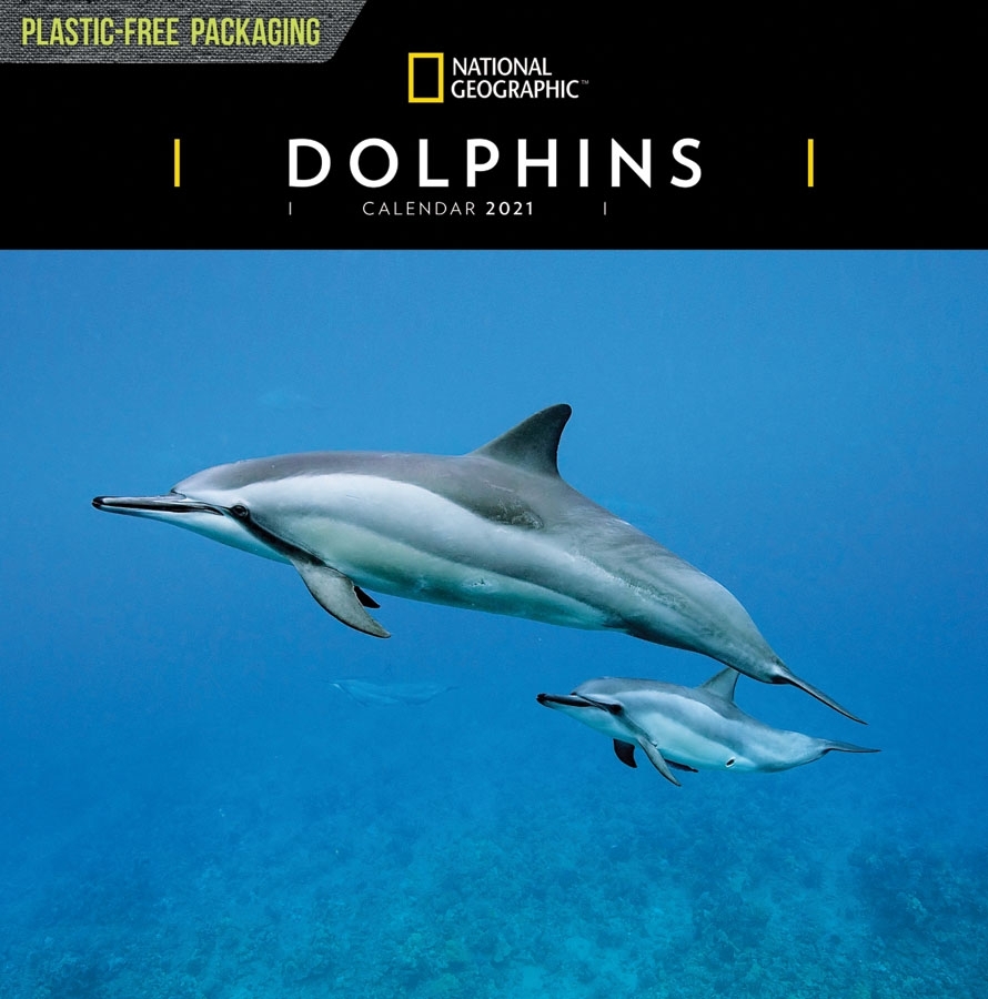 Catch Dolphin Calendar Free