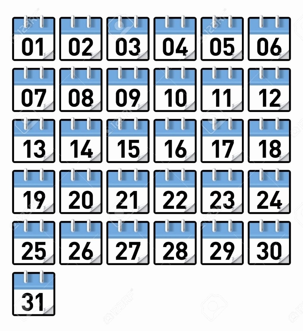 Catch Free Printable Calendar Numbers 1-31