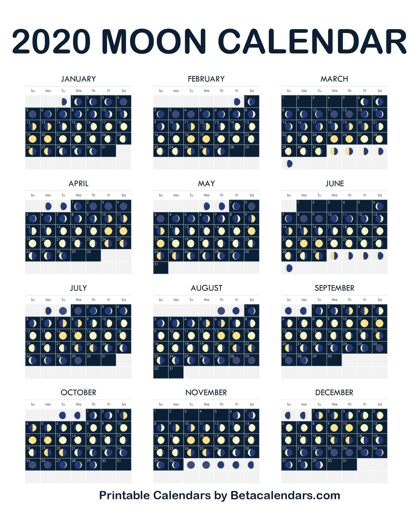 Catch Moon Cycle Calendar Print