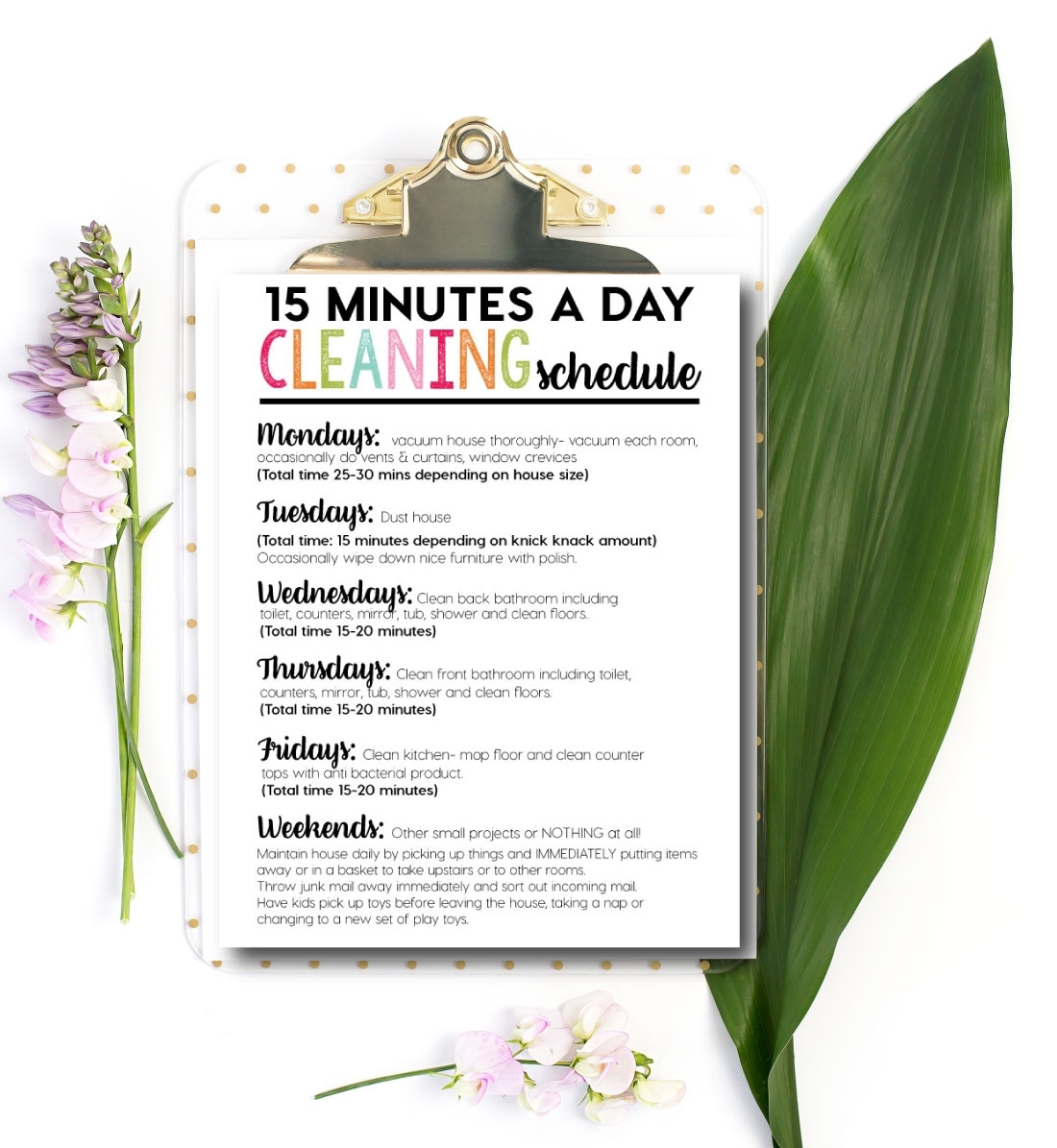 Collect Daily Schedule 15 Minutes