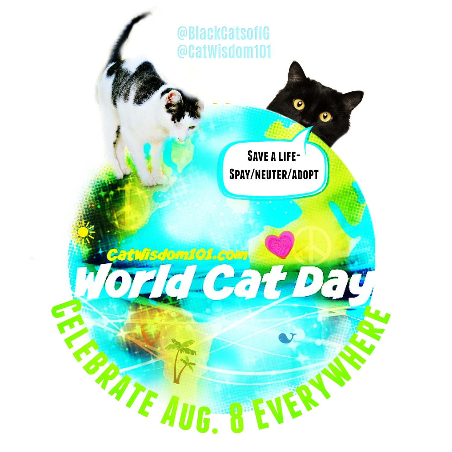 Take August 8 Cat Day