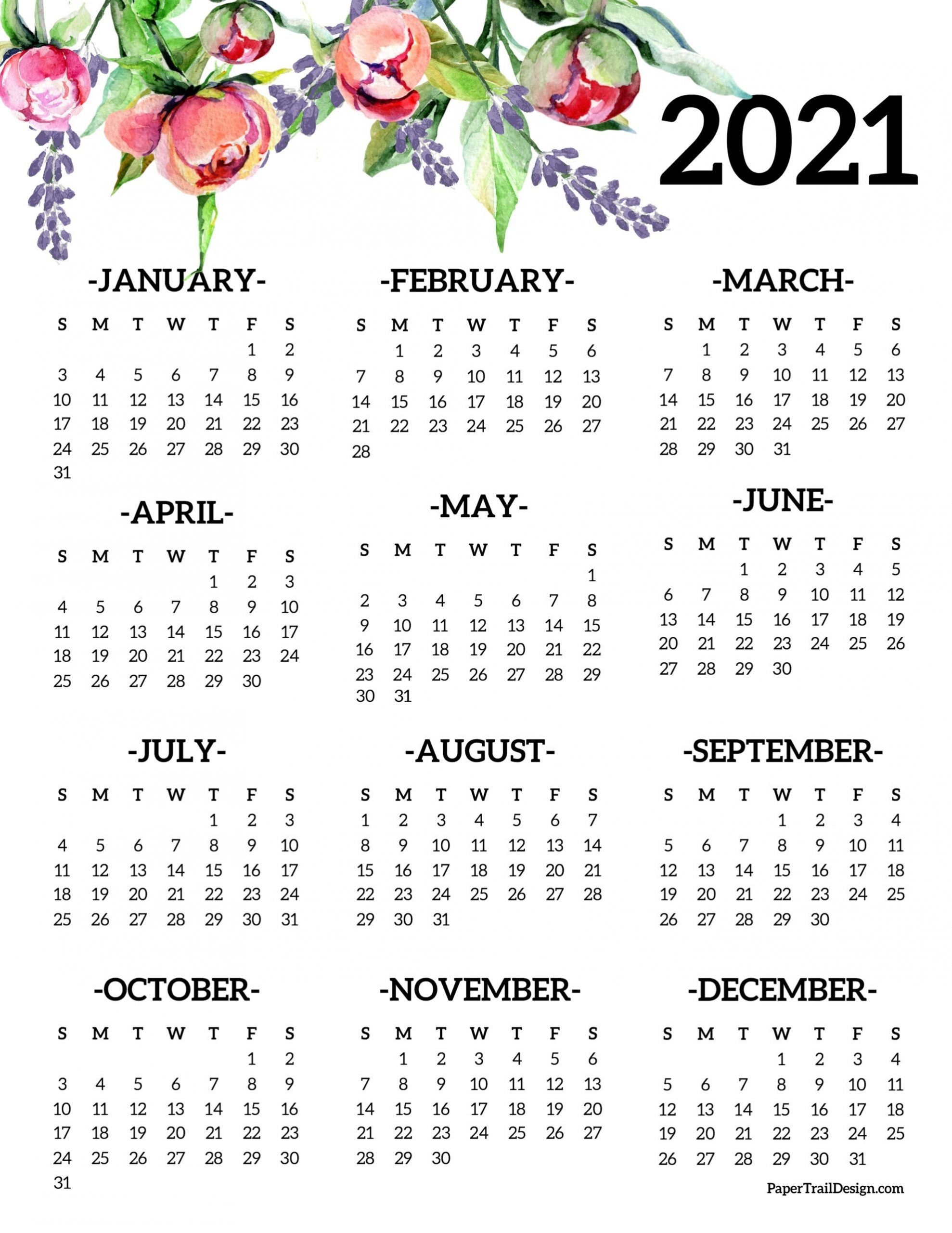 Take Year At A Glance Calendar 2021 Free Printable