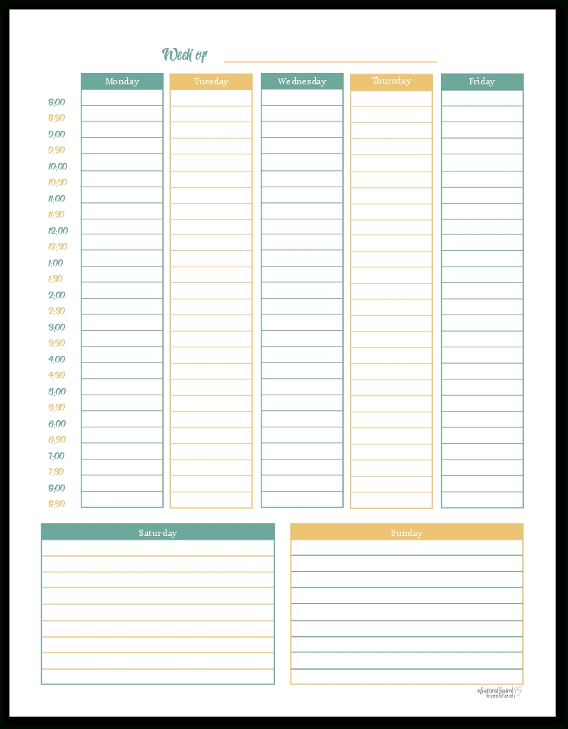 Collect Time Slot For Scheduling Every 30 Minutes Visits Calendar