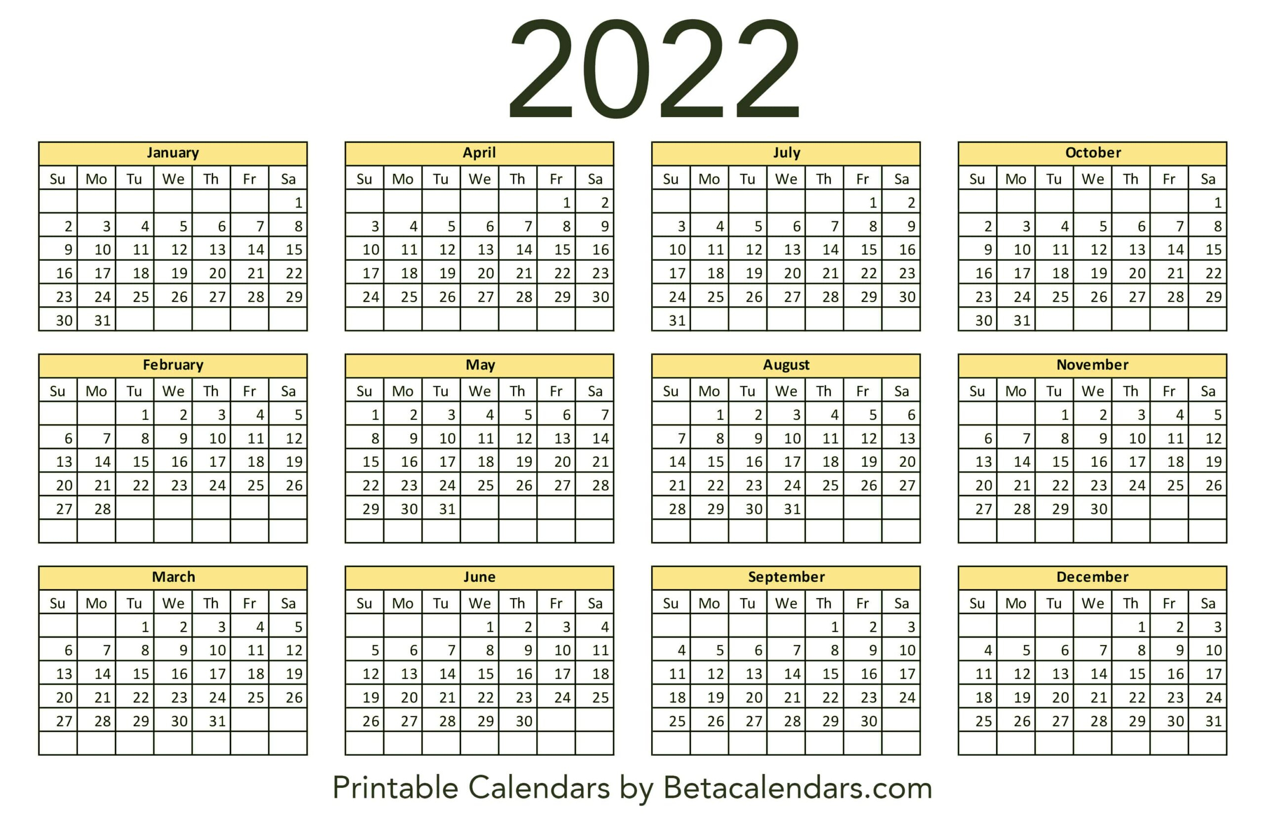 Catch Calendar Labs January 2022