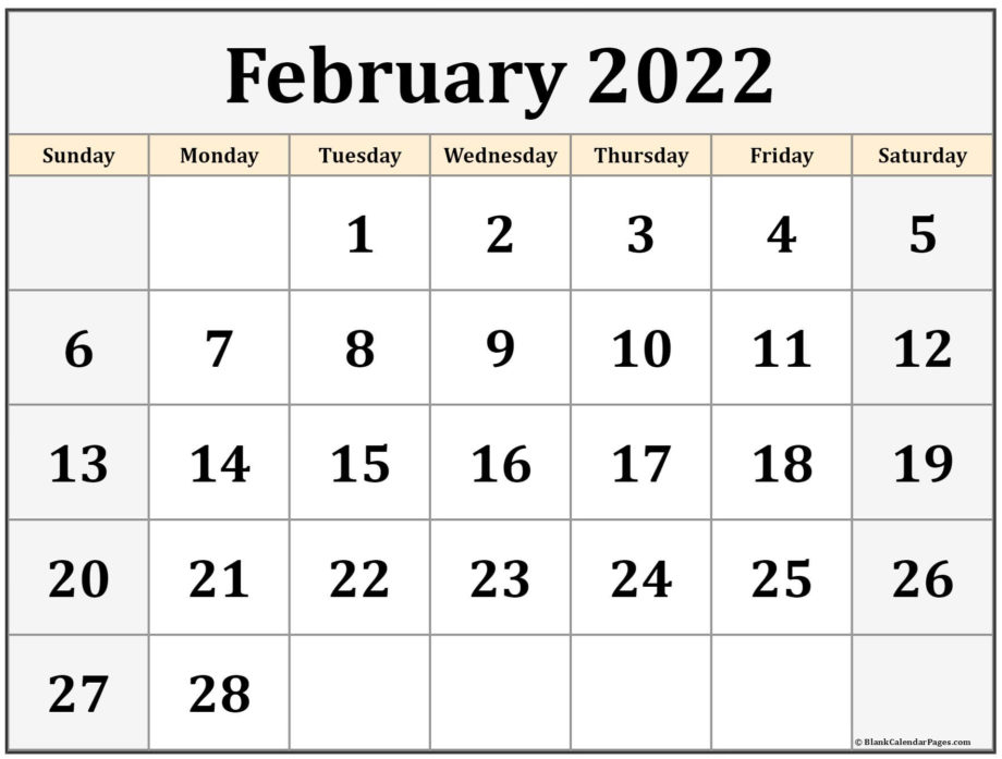 Catch February 15 2022 Calendar