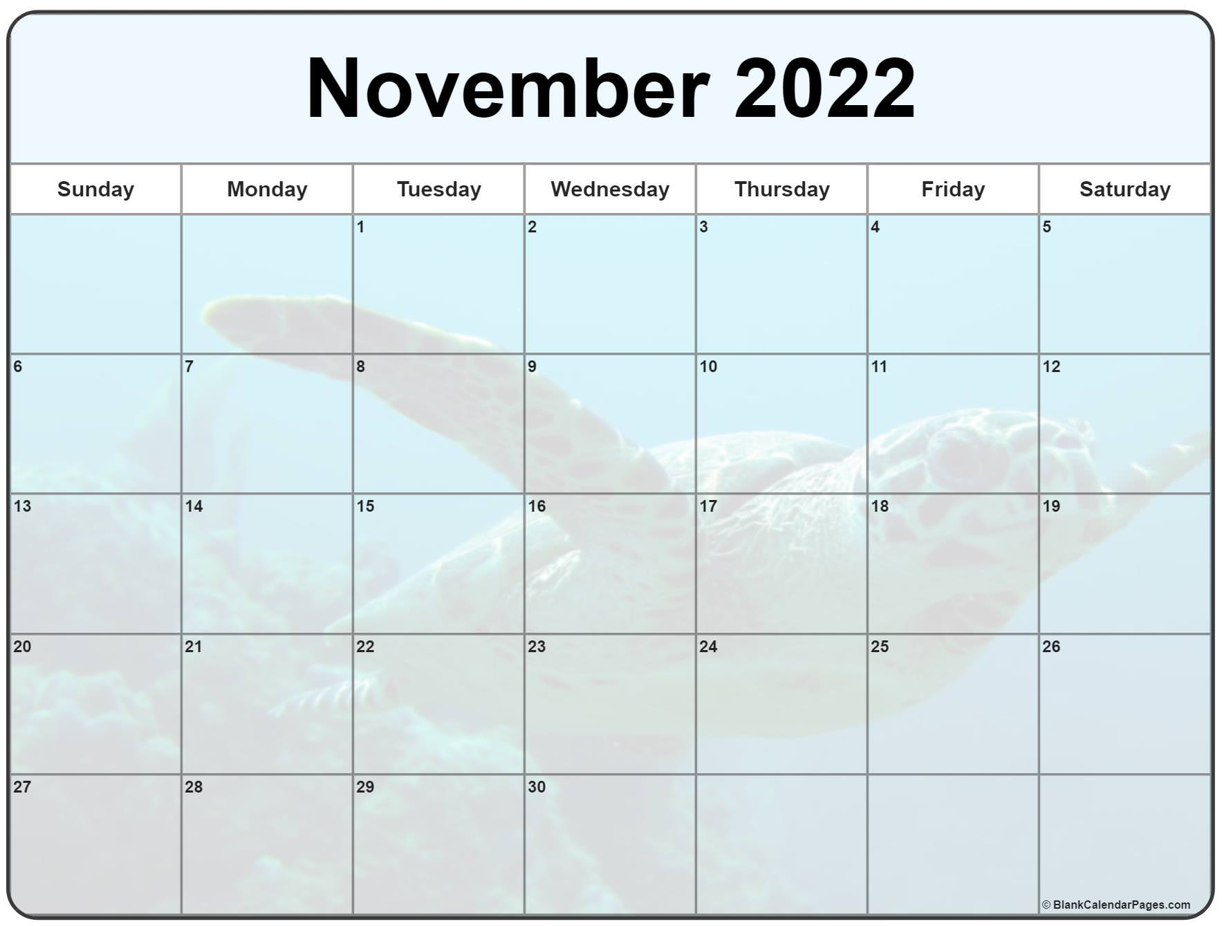 Catch February 2022 Calendar Printable Cute