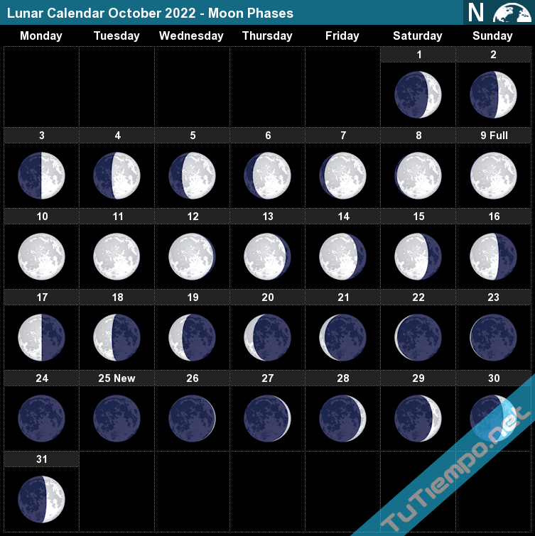 Catch Lunar Calendar November 2022