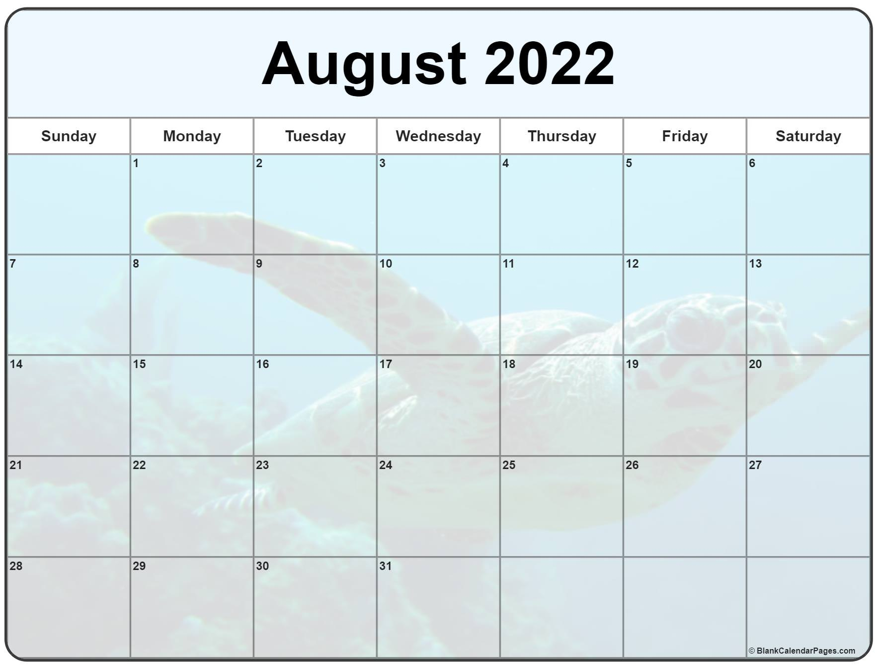 Collect Calendar 2022 August Month