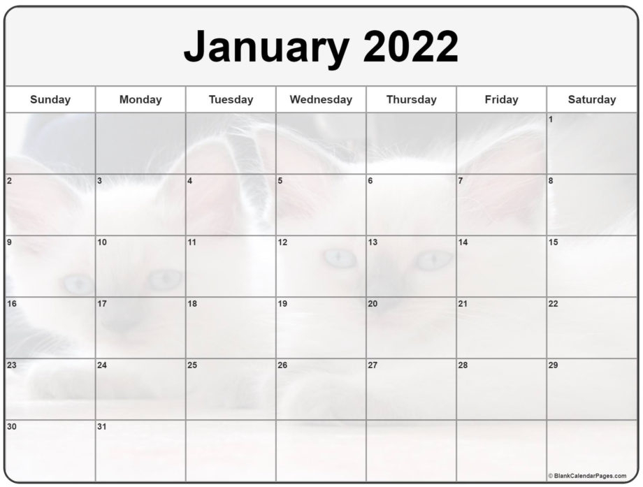 Collect Calendar Options January 2022
