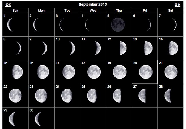 Pick Lunar Calendar July 2022