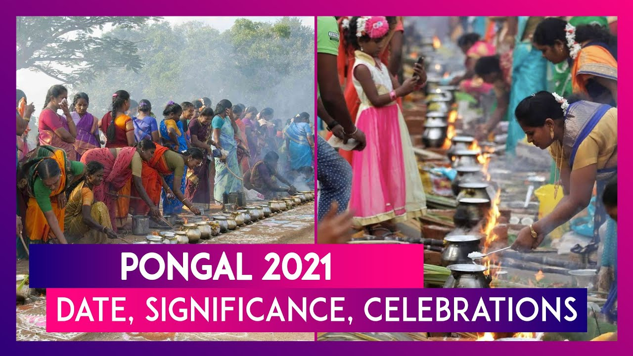 Pick Tamil Calendar 2022 January Pongal
