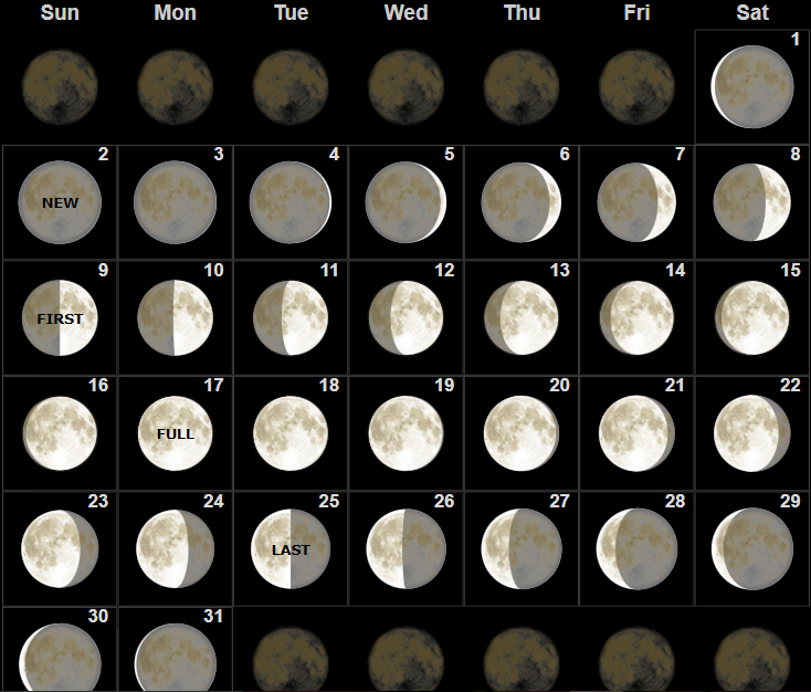 Take Lunar Calendar February 2022