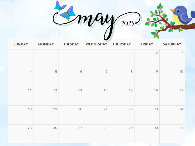 Cute May 2025 Calendars With Bird